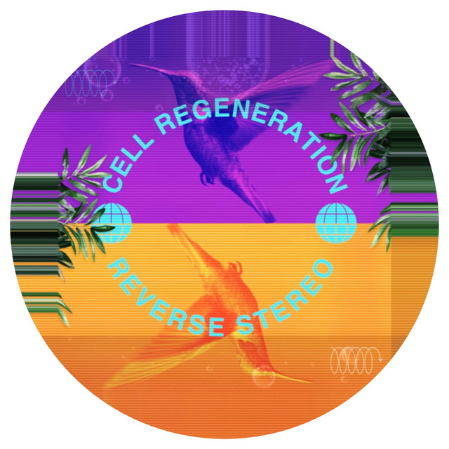 Reverse Stereo – Cell Regeneration