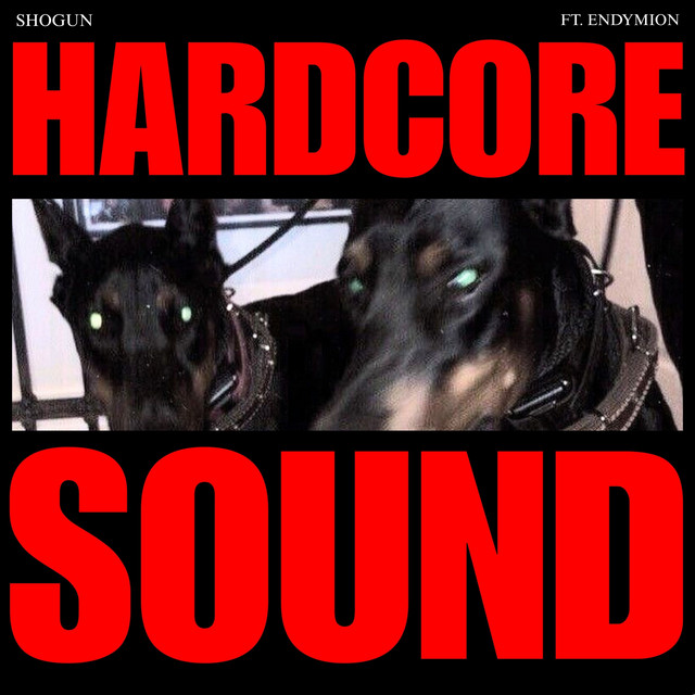 HARDCORE SOUND cover