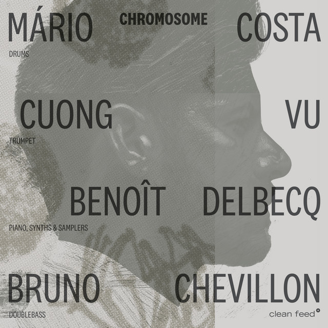Chromosome cover