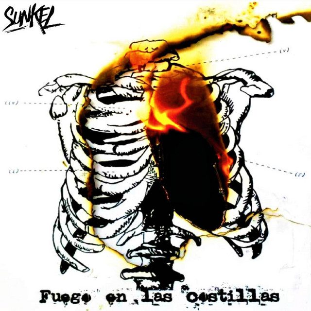 Fuego en las costillas cover art