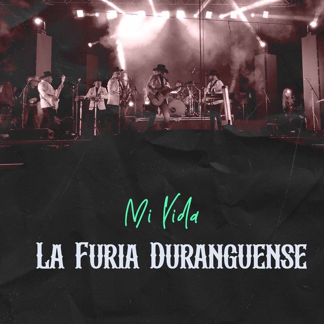 Mi Vida cover art