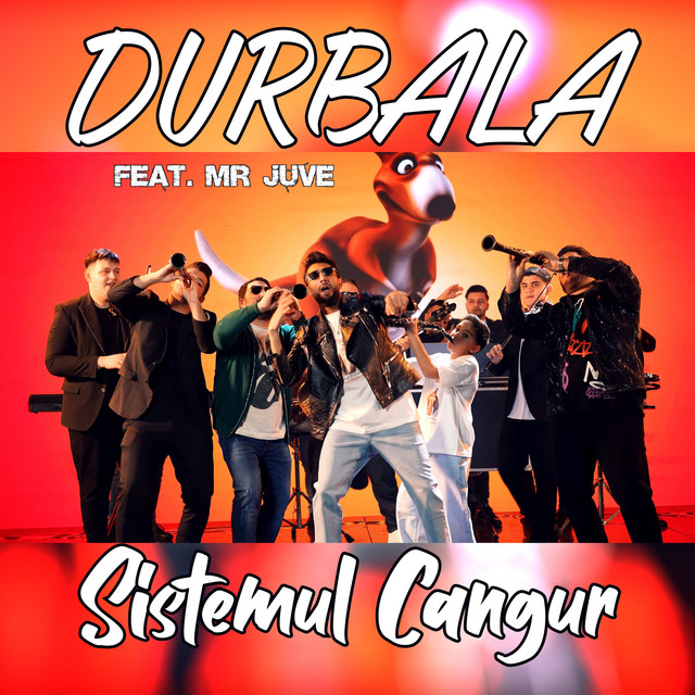 Sistemul Cangur cover art