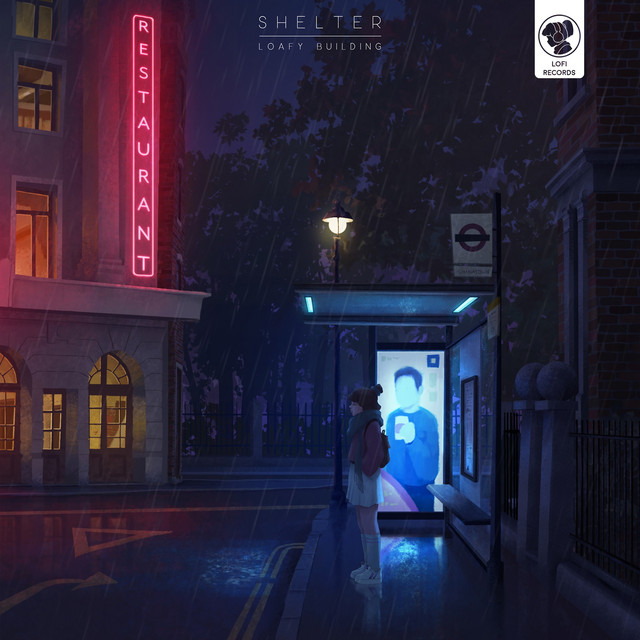 Shelter cover