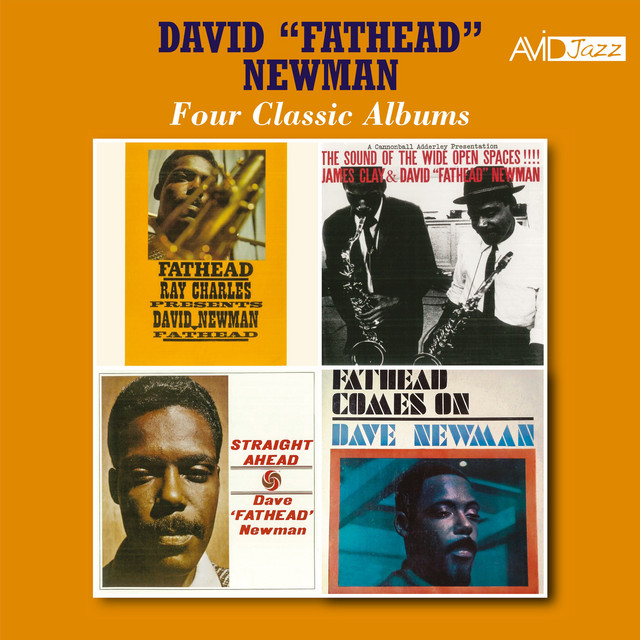 Four Classic Albums (Ray Charles Presents David Newman / The Sound of Wide Open Spaces / Straight Ahead / Fathead Comes On) (Digitally Remastered) — David "Fathead" Newman