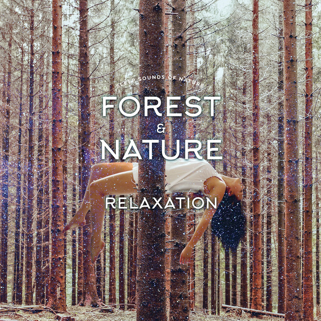 Forest & Nature Relaxation - Album by Sleep Sounds of Nature | Spotify