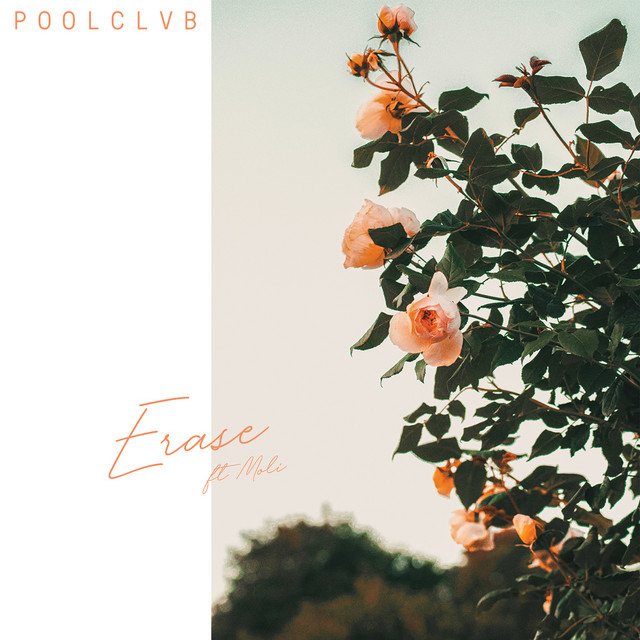 Erase cover art