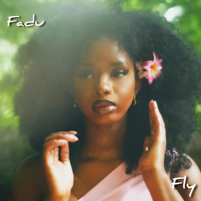 Fly