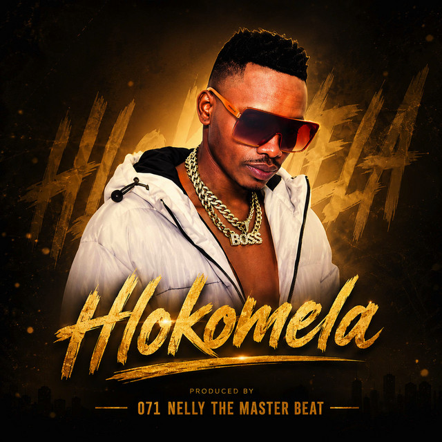 Hlokomela album image
