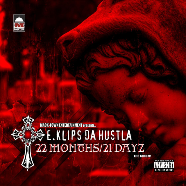 22 Months 21 Dayz cover art