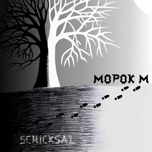 Schicksal cover