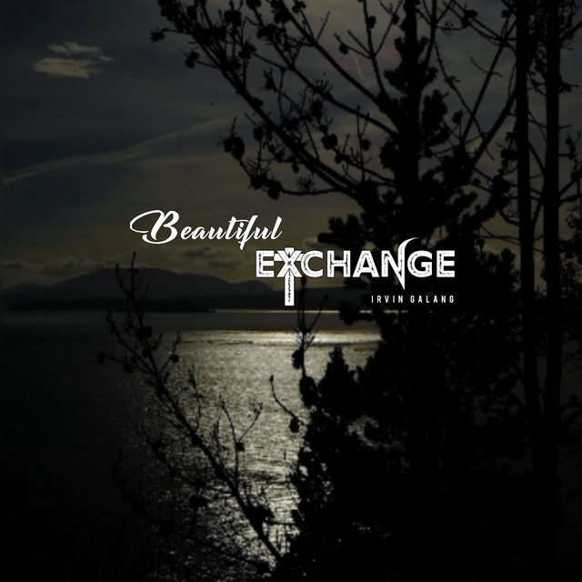 Beautiful Exchange cover art