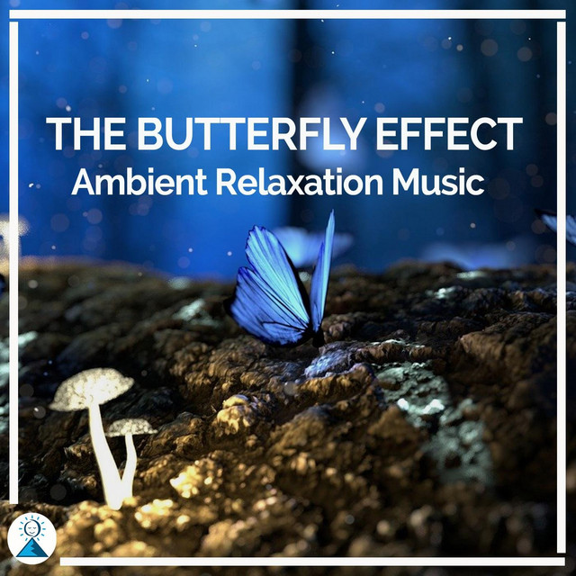 the butterfly effect elevate your vibration The Butterfly Effect | Elevate Your Vibration, Attract Miracles | Positive  Aura Energy