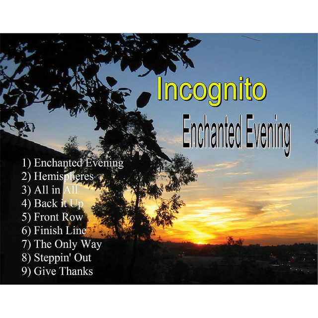 Enchanted Evening cover art
