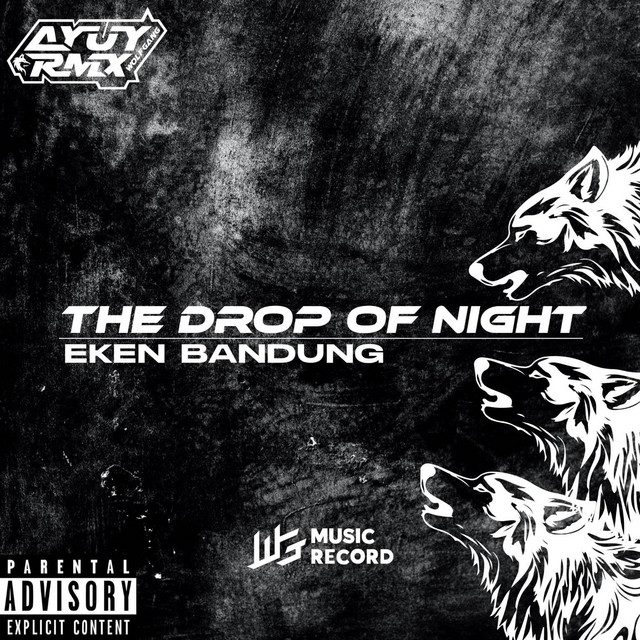 THE DROP OF NIGHT