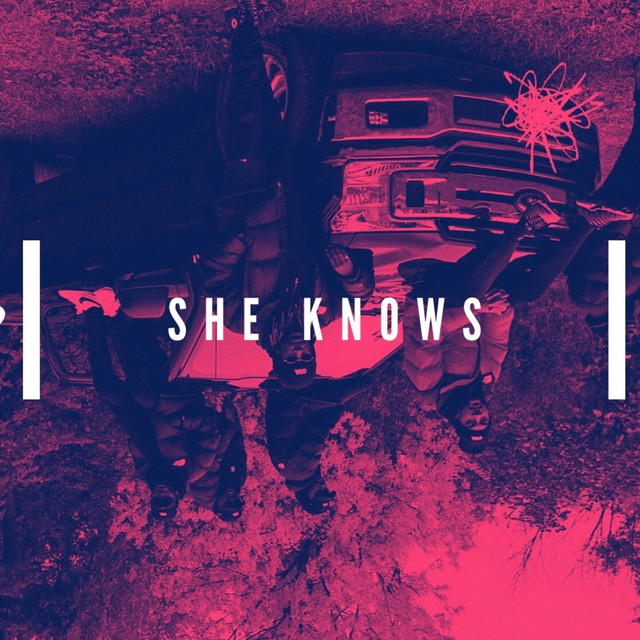 She Knows - Remix