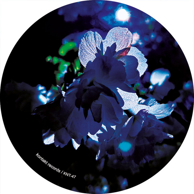 Inversion cover art