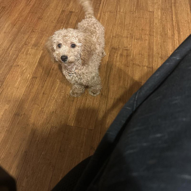 Where you going