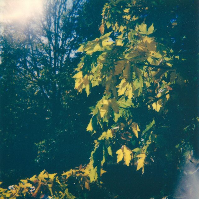 Bronx River cover art