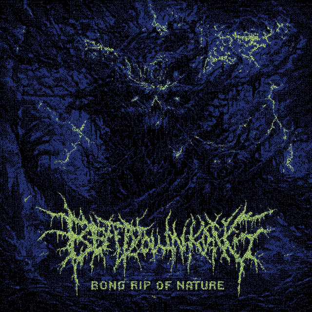 Bong Rip Of Nature cover art