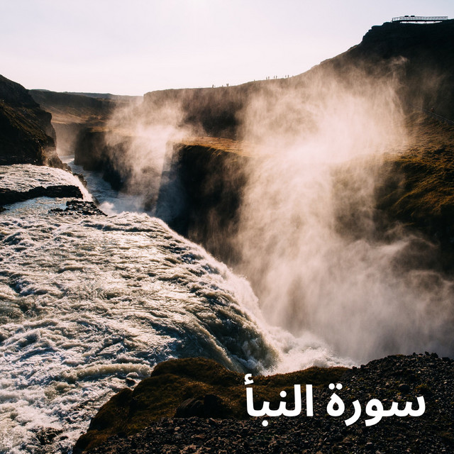 القارئ عادل ريان