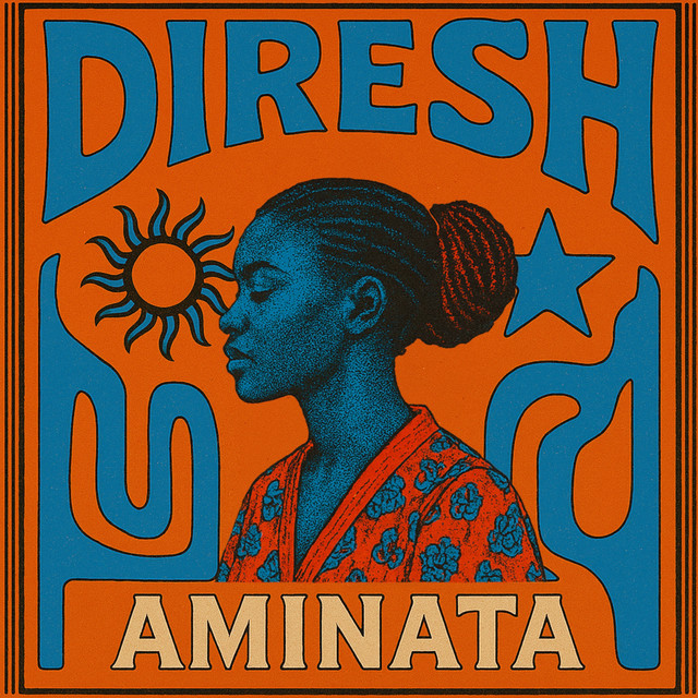 Обкладинка: Aminata - Extended Version — DIRESH