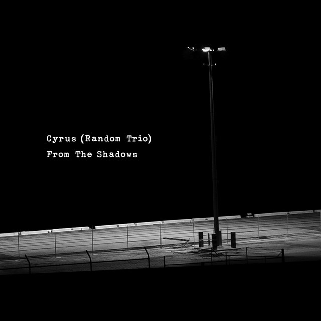 From The Shadows cover art
