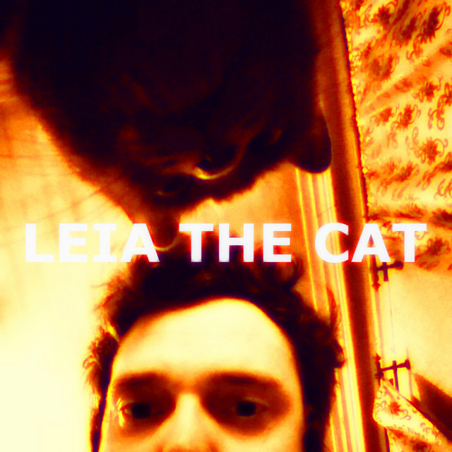 Обкладинка: Leia The Cat — Hockins
