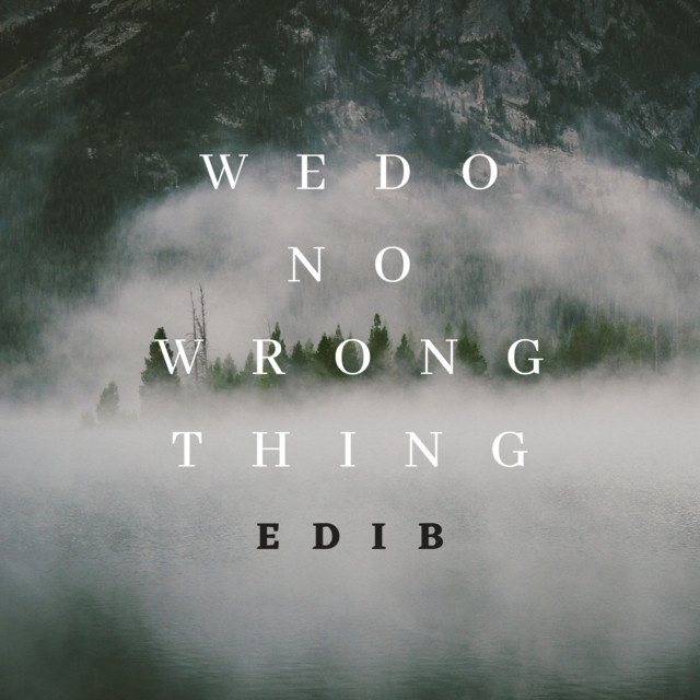 We Do No Wrong Thing cover art
