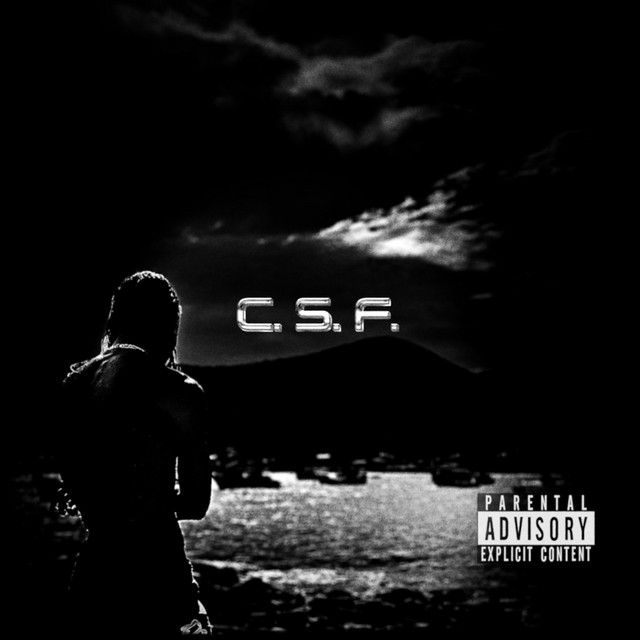 C.S.F: Cold Summer Fever cover art