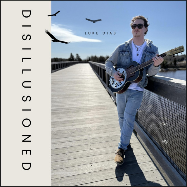 Disillusioned cover art