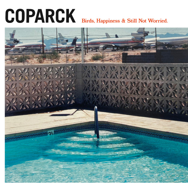 Birds, Happiness & Still Not Worried cover art
