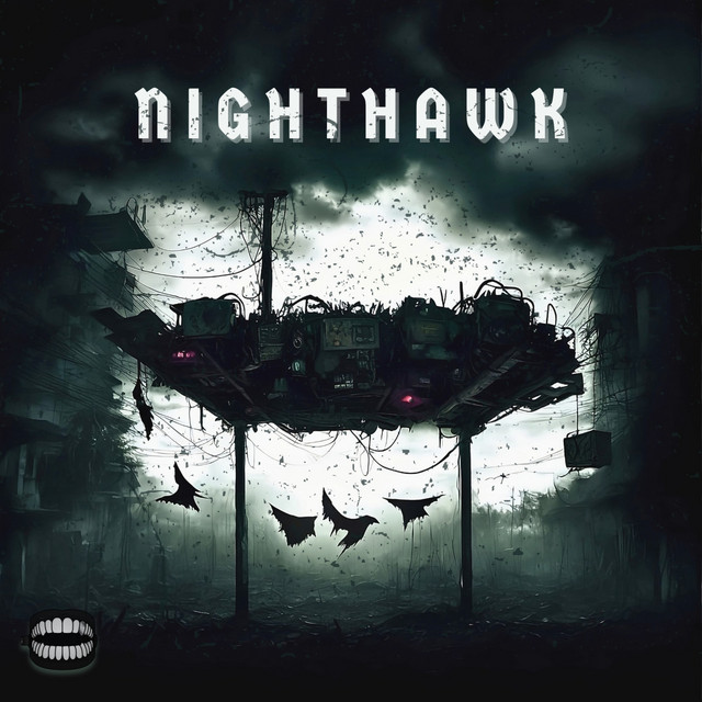 Nighthawk cover art