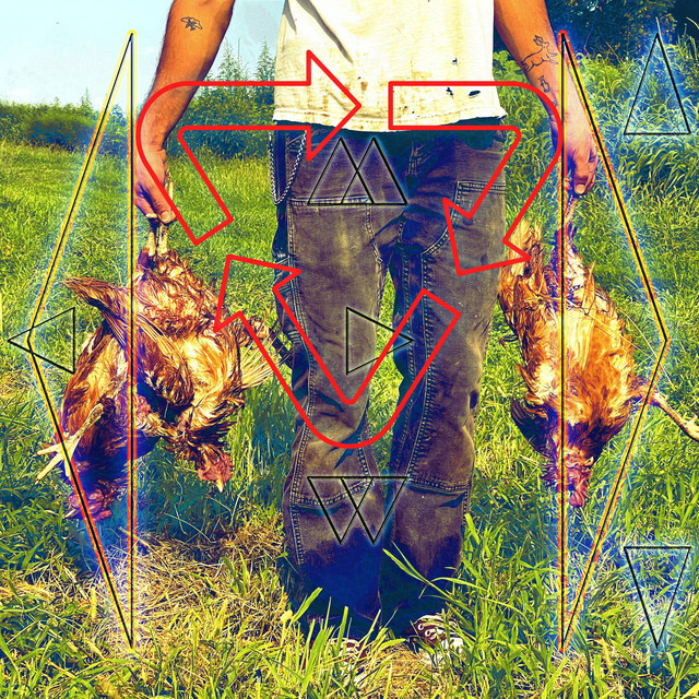 animal teacher cover
