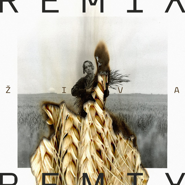 Živa (Remix) cover