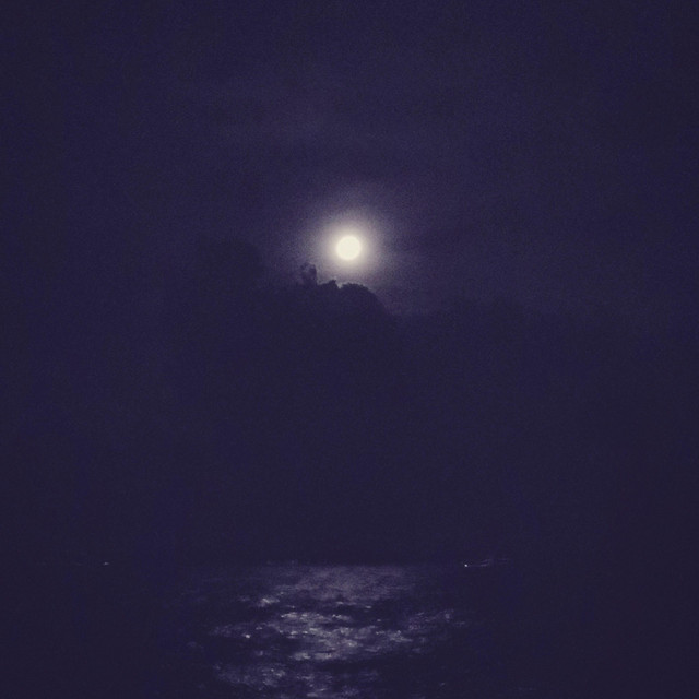 Moonbathing. cover art