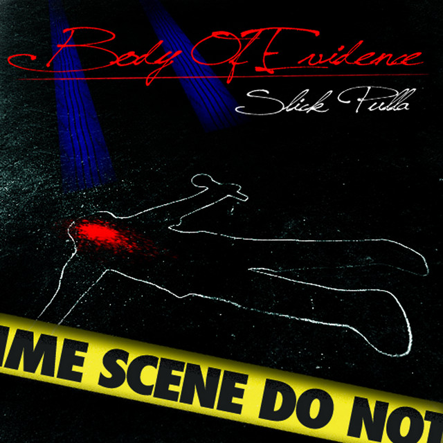 Body of Evidence cover art