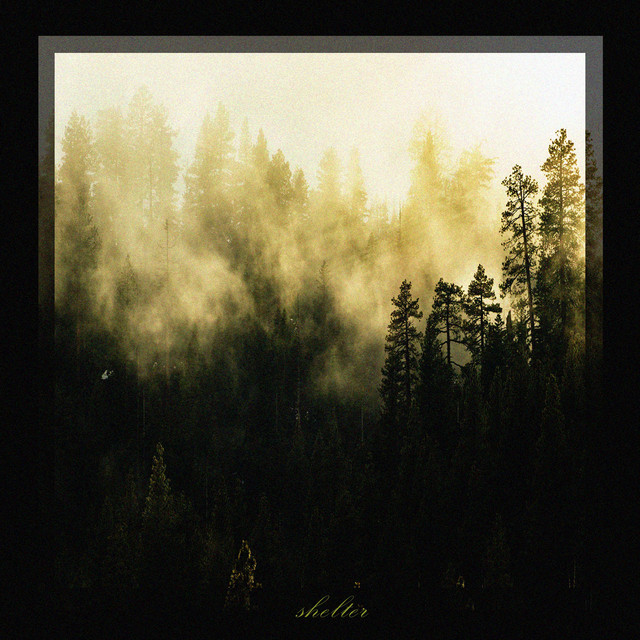Shelter