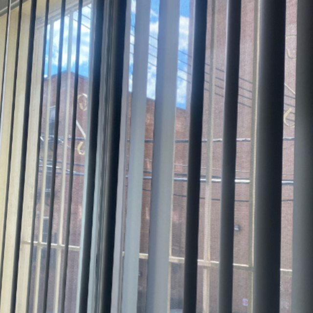 Blinds cover art