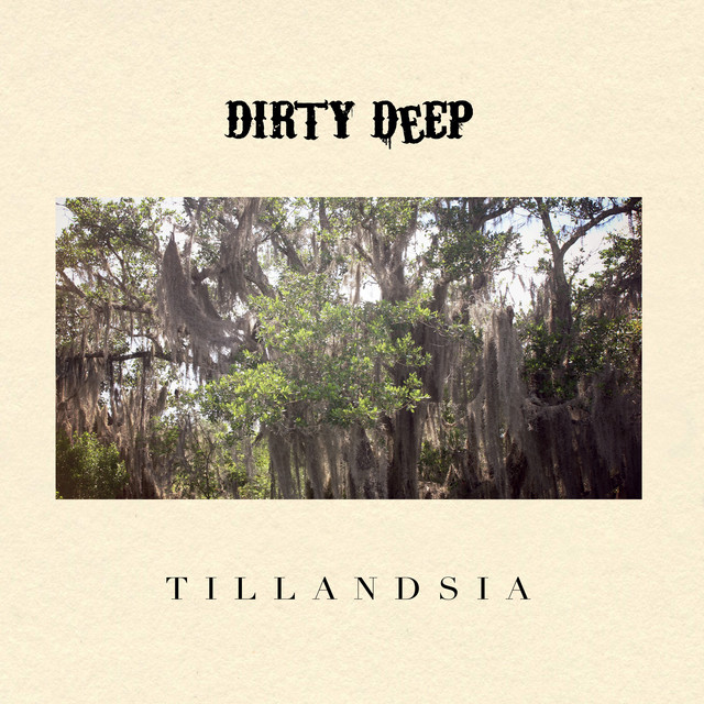 Tillandsia cover