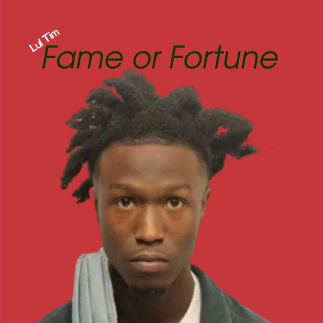 Fame or Fortune - Single by Lul Tim | Spotify