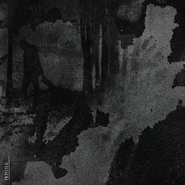 Hostile cover art