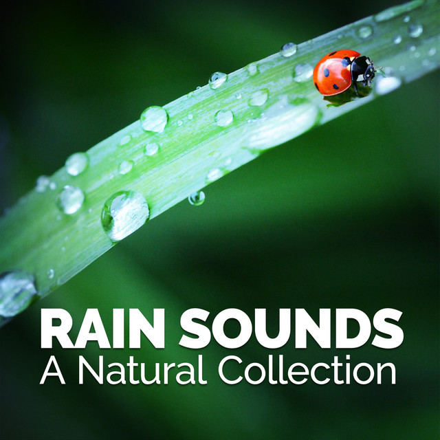 Rain Sounds: A Natural Collection cover art