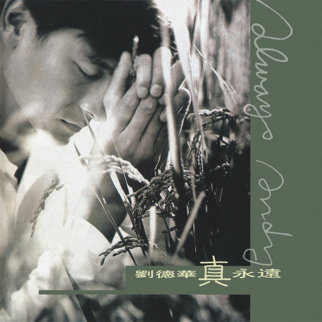 真永遠 cover art