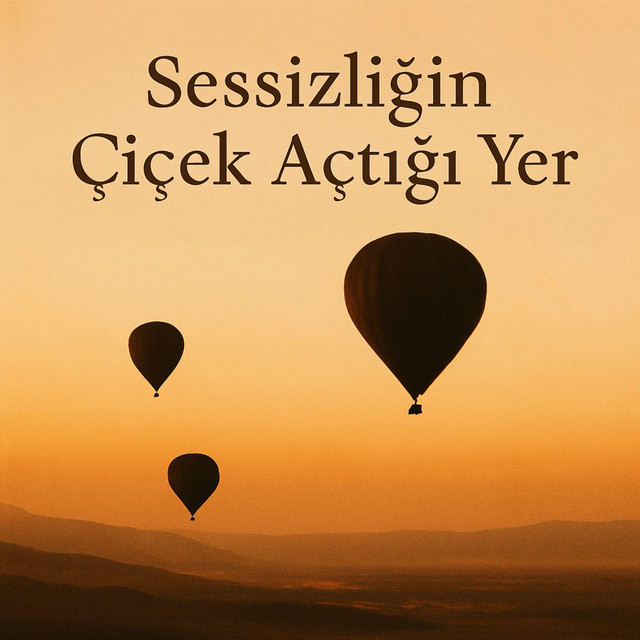 Sessizliğin Çiçek Açtığı Yer