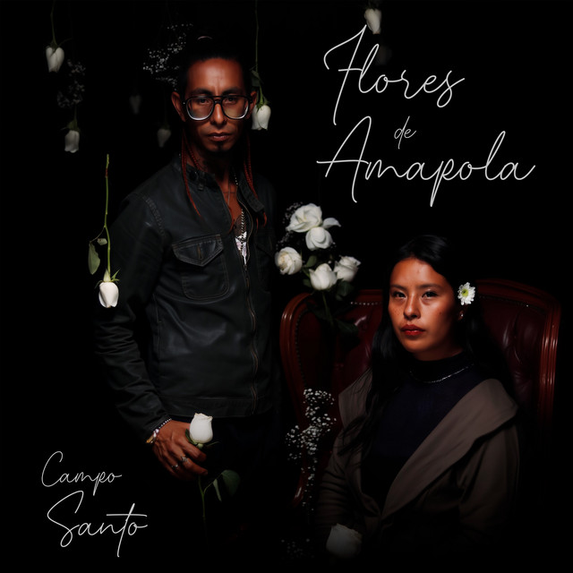 Campo Santo cover