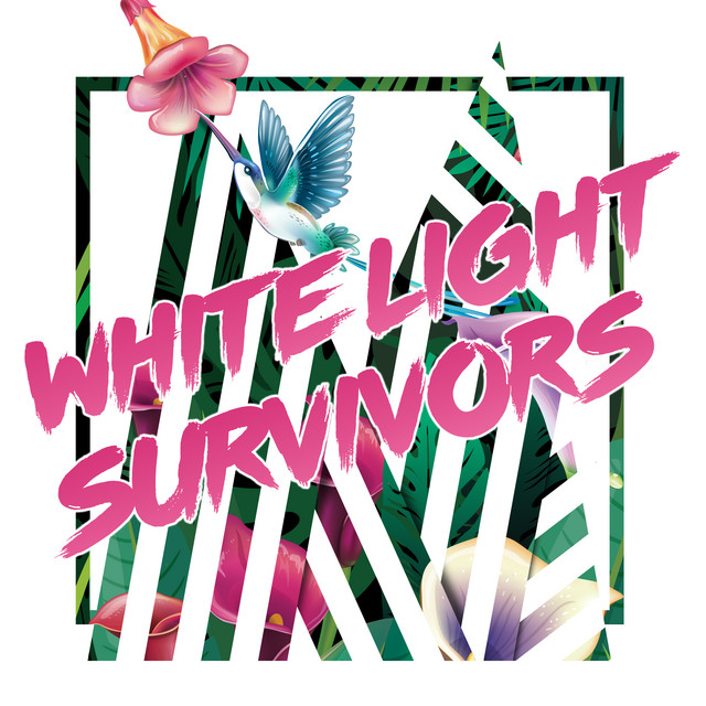 White Light Survivors cover