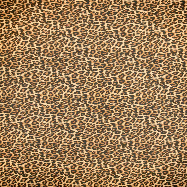 ysl cheetah