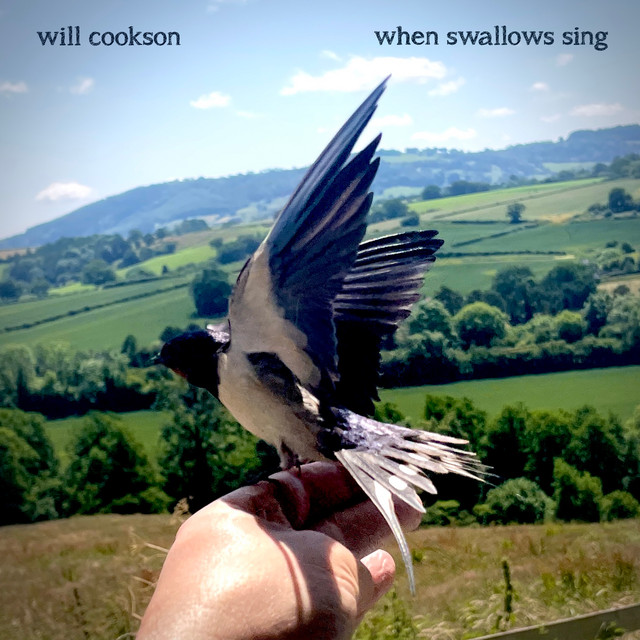 When Swallows Sing cover