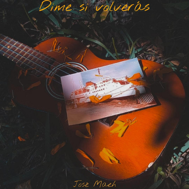 Dime si volveras cover art