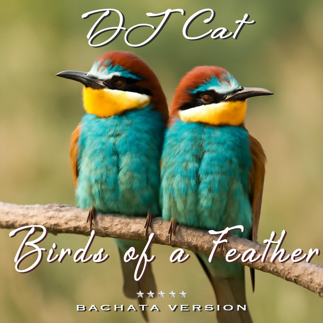 Birds of a Feather - Bachata Version